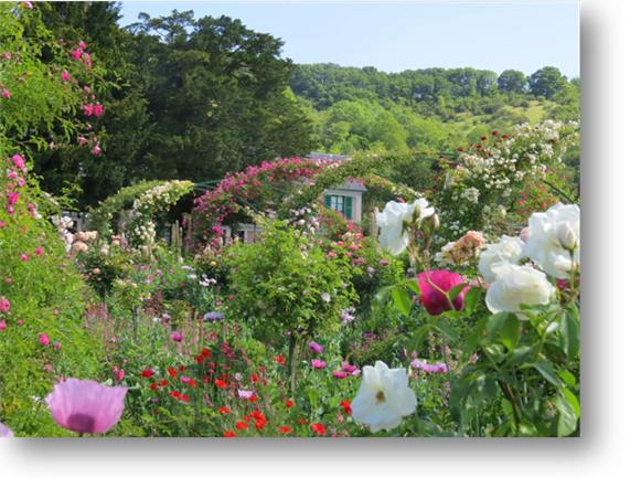 Giverny Normandy Tour June 2015  